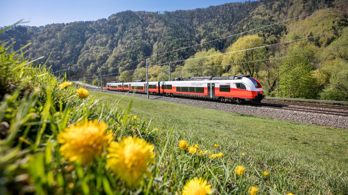 ÖBB Cityjet fährt durch eine grüne Landschaft mit Löwenzahn im Vordergrund